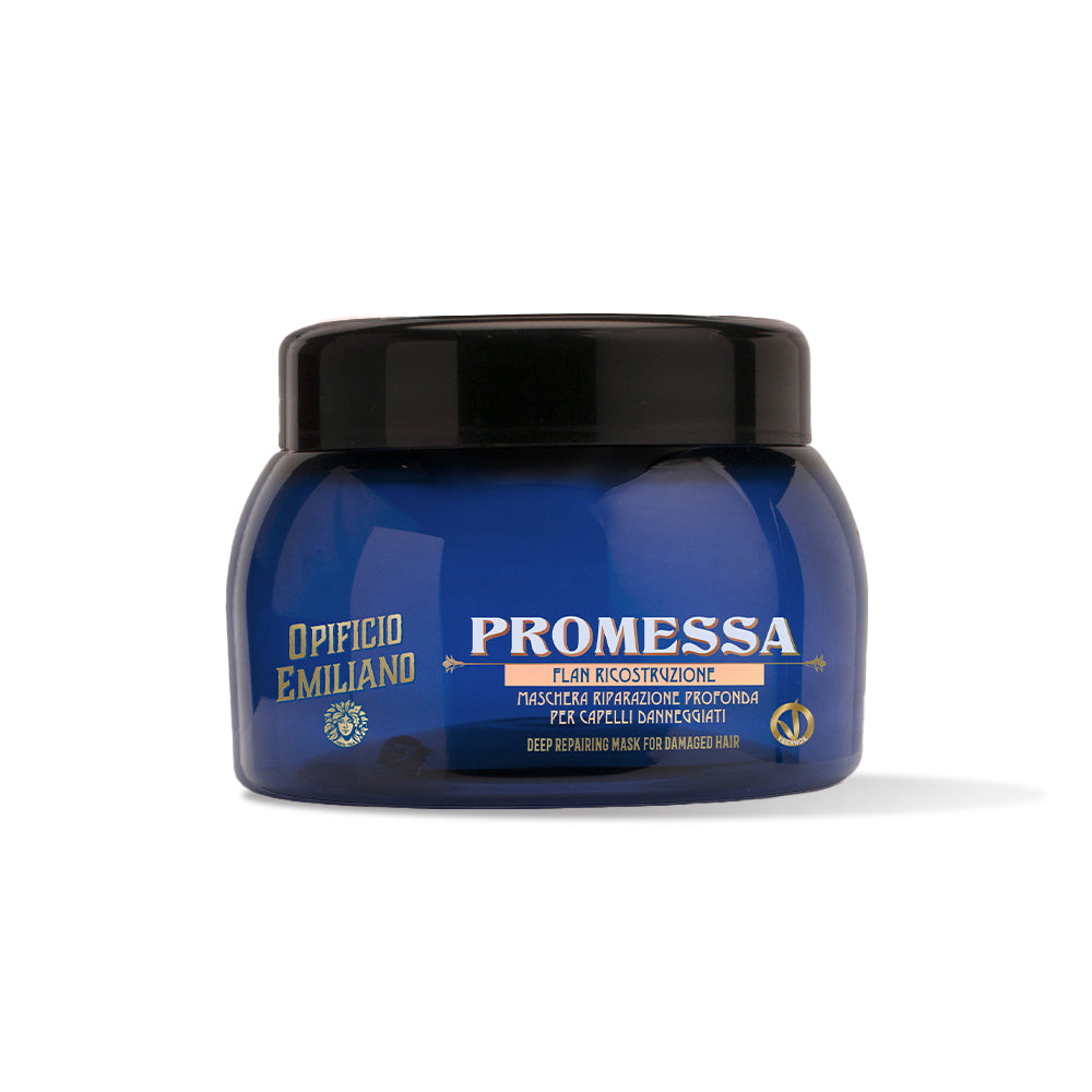 Promessa Repairing mask For Damaged Hair (220 ml)