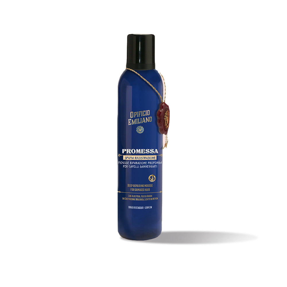 Promessa Repairing Mousse For Damaged Hair (250 ml)